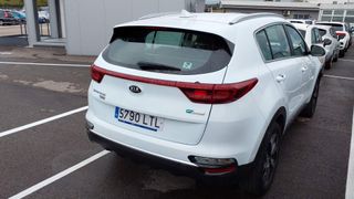 Kia Sportage 1.6 MHEV Business 4x4 100 kW (136 CV)