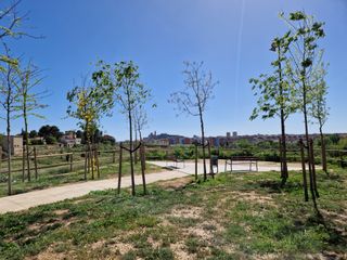 Habitación grande soleada Lleida