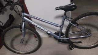 Bicicleta B-PRO plateada