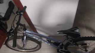 Bicicleta B-PRO plateada