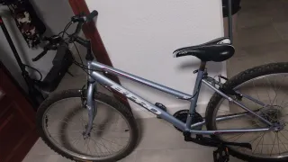 Bicicleta B-PRO plateada