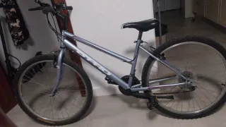 Bicicleta B-PRO plateada