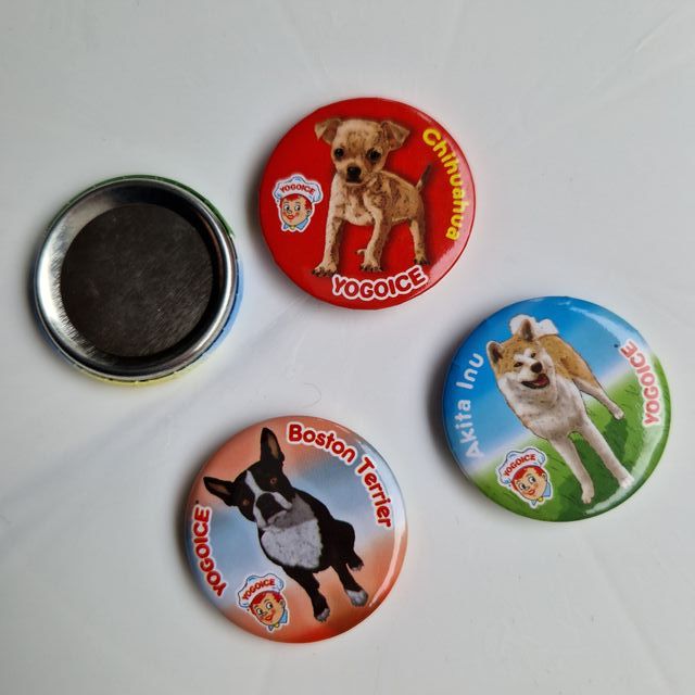 4 Magneti Yogoice per Cani Chihuahua, Akita, Boston