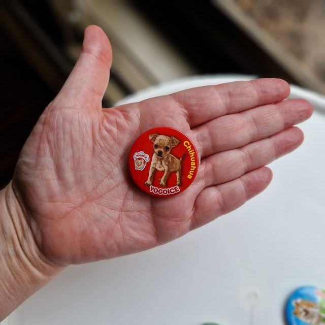 4 Magneti Yogoice per Cani Chihuahua, Akita, Boston