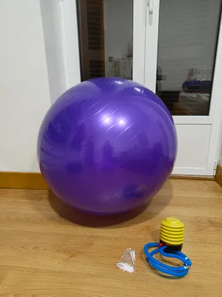 Pelota de Pilates Morada + Bomba