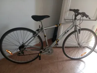 Bicicleta de montaña plateada