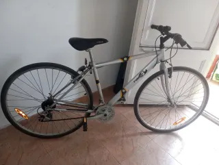 Bicicleta de montaña plateada