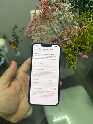 iPhone 13 Blu 100% Batteria