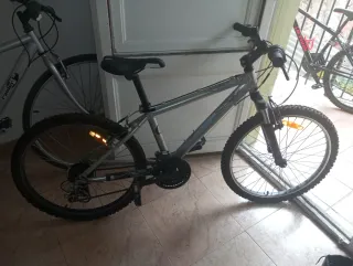 Bicicleta Montaña Gris