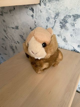 Peluche Trudi Castoro
