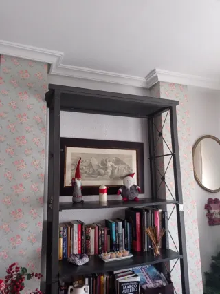 Vitrina Hierro Forjado baldas Madera. Hasta techo