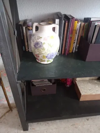 Vitrina Hierro Forjado baldas Madera. Hasta techo