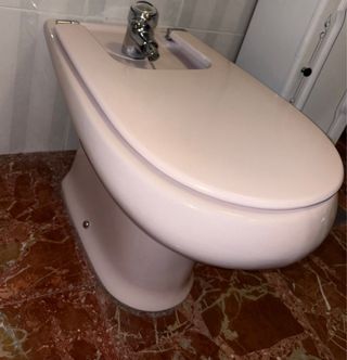 Inodoro Roca rosa y mueble baño