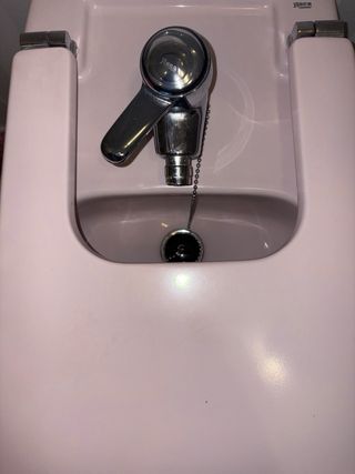 Inodoro Roca rosa y mueble baño