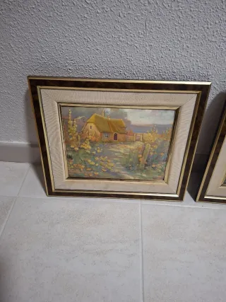 2 Cuadros Paisaje Relieve