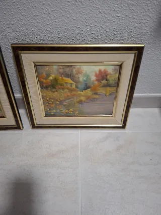 2 Cuadros Paisaje Relieve