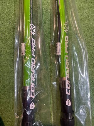 2 Cañas Telescópicas Evia Congrio 4,2m