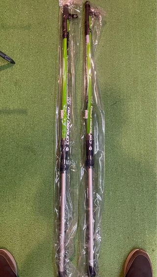 2 Cañas Telescópicas Evia Congrio 4,2m