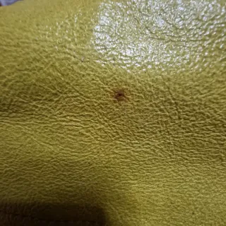 Borsa Diesel verde con stampa grifone