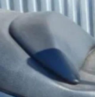 Respaldo Suzuki Burgman 125