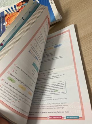 Lengua Castellana y Literatura. 4 Secundaria. R...