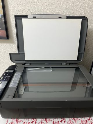 Impresora Epson DX4000 Negra