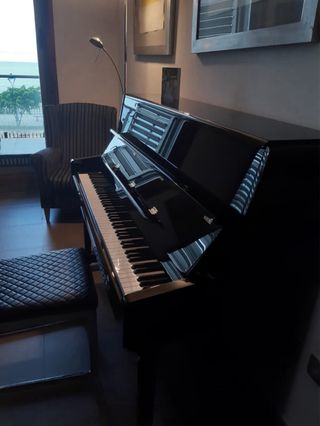 Piano Roth & Junius Negro Brillante