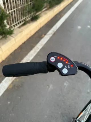 Bici Eléctrica TOPLIFE Negra