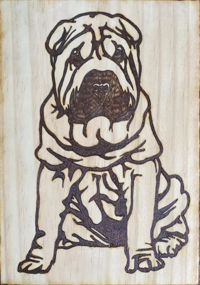 Pirografía Yorkshire Terrier/gato/Shar pei