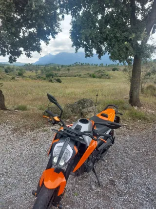KTM Duke 790 2019