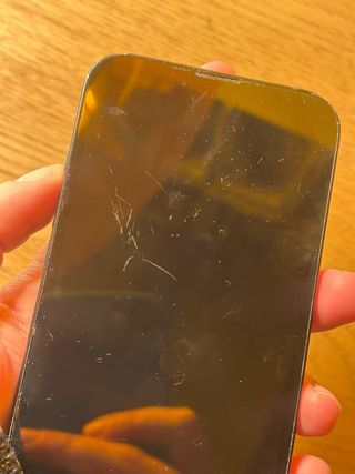 iPhone 13 Nero 256GB