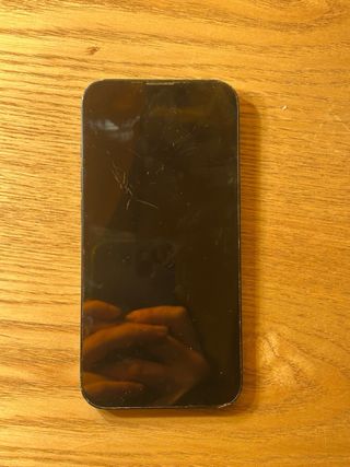 iPhone 13 Nero 256GB