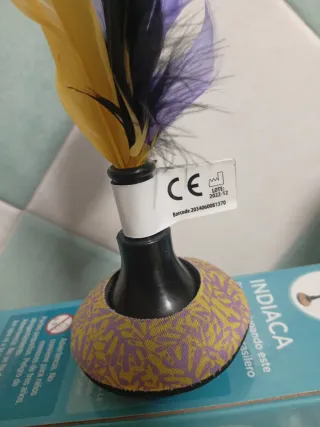 Indiaca de Mundo Diver