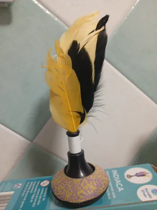 Indiaca de Mundo Diver