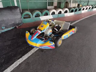 Kart Iame X30