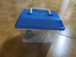 Pecera pequeña transparente y azul