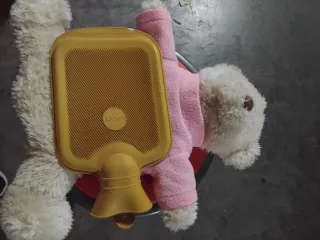 Bolsa Osito Agua Caliente Rosa