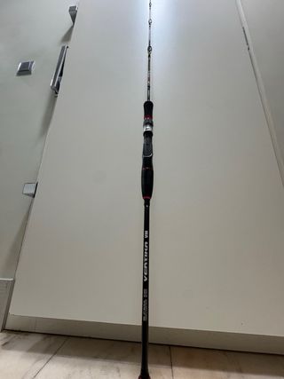 Caña de pescar Barros Zero Vertika Casting