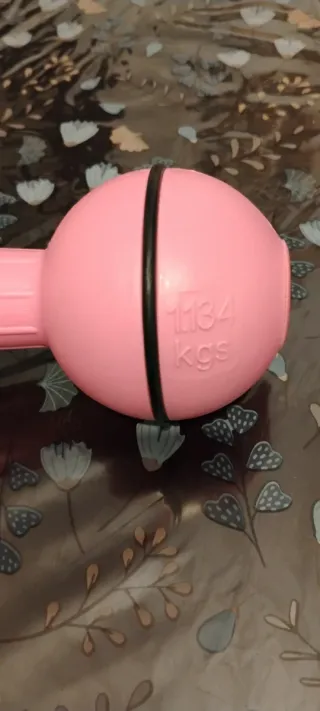 Manubri da 2,5 kg (coppia)