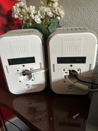 Altavoces JBL Control 2.4G AW (blancos)