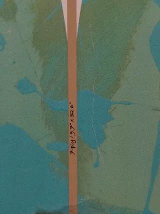 Surfskate Oxelo Carve 540