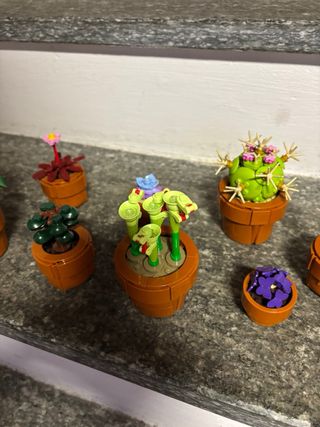 Lego Collezione Botanica 10329