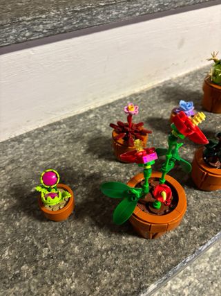 Lego Collezione Botanica 10329