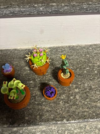 Lego Collezione Botanica 10329