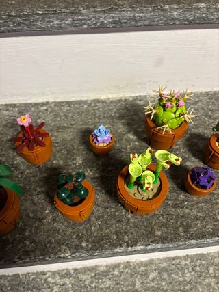 Lego Collezione Botanica 10329