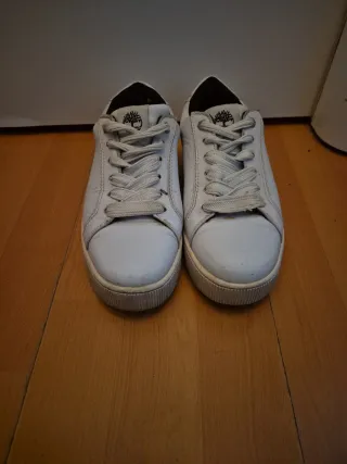 Scarpe Timberland bianche