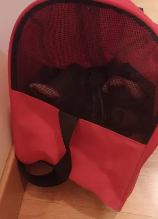 Patines en línea infantiles morados