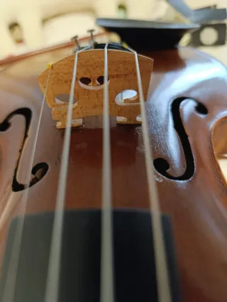 Violín G. Apparut 1929- Bien cuidado