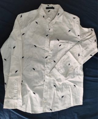 Lote 7 camisas de vestir Zara