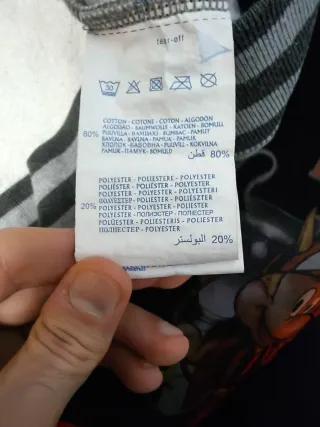 Felpa Champion invernale grigia e nera